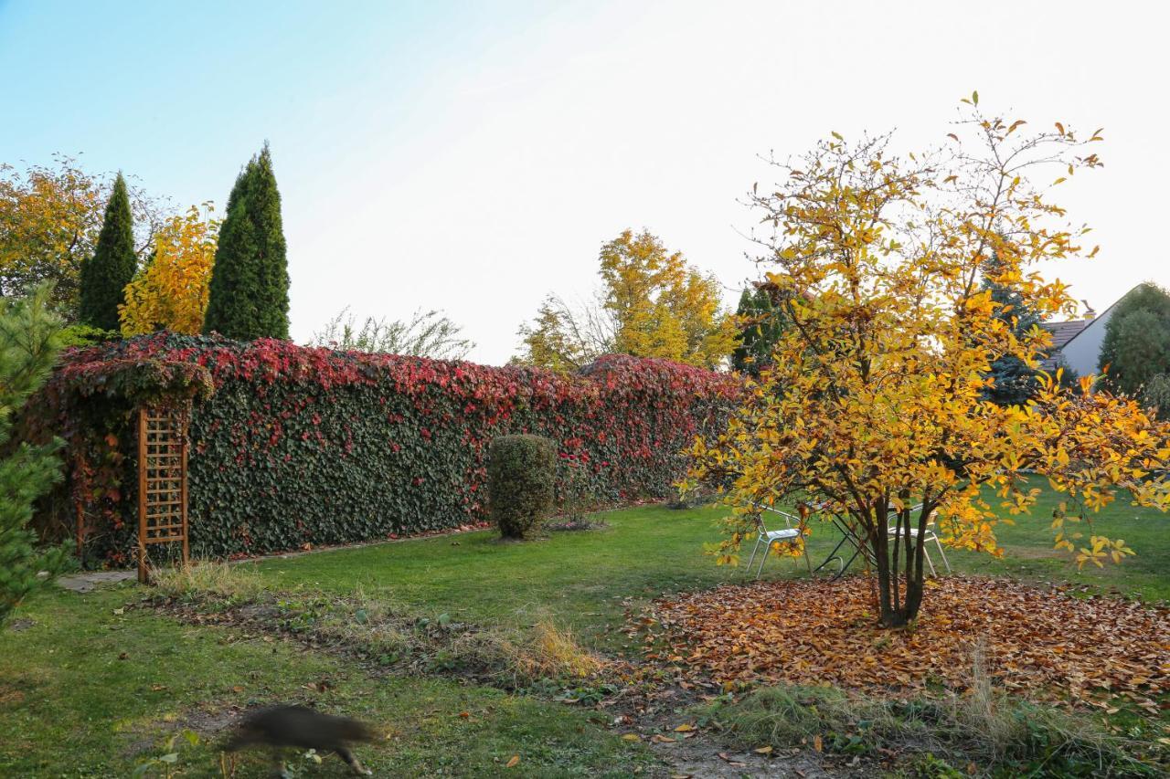 Villa Umberti Sibiu Exterior foto